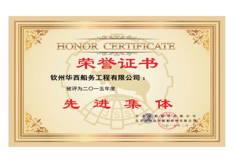 先進集體2015
